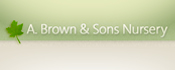 A. Brown and Sons Nursery Logo