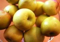 Malus domestica 'Golden Delicious' — photo 4
