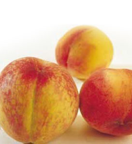 Prunus persica 'Halehaven'