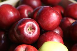 Malus domestica 'Cortland' — photo 2