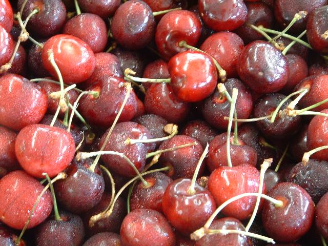 Prunus avium 'Bing' — photo 1