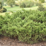  — photo 2